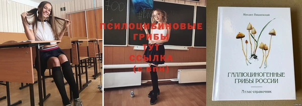 MESCALINE Гусь-Хрустальный