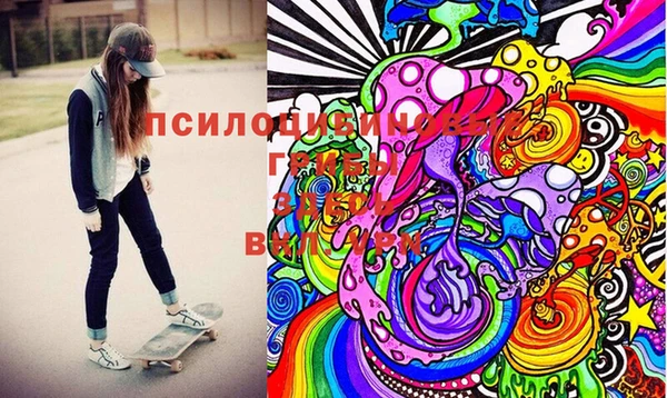 гашиш Касимов