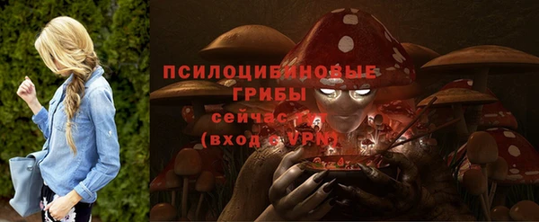 MESCALINE Гусь-Хрустальный