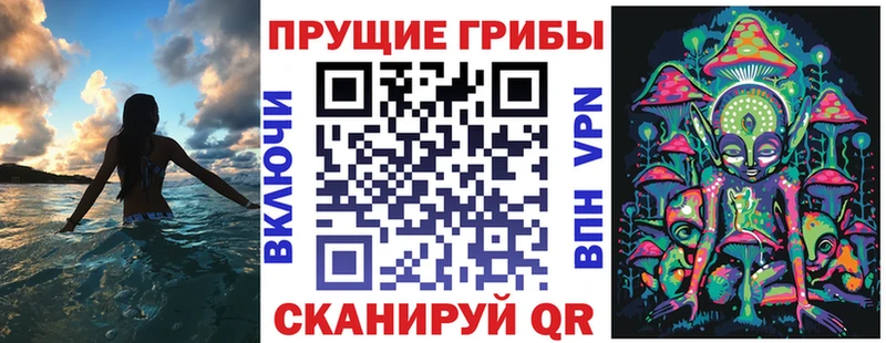Галлюциногенные грибы прущие грибы  Кадников 