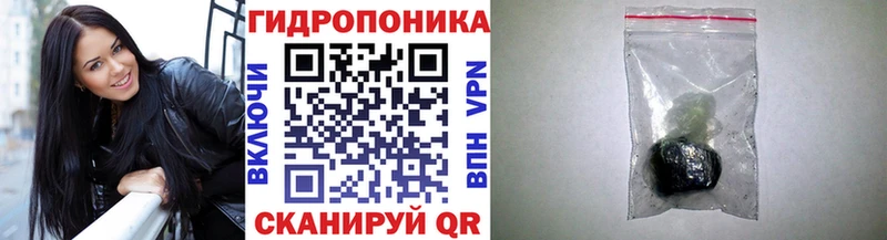 Каннабис MAZAR  гидра маркетплейс  мориарти телеграм  Кадников 
